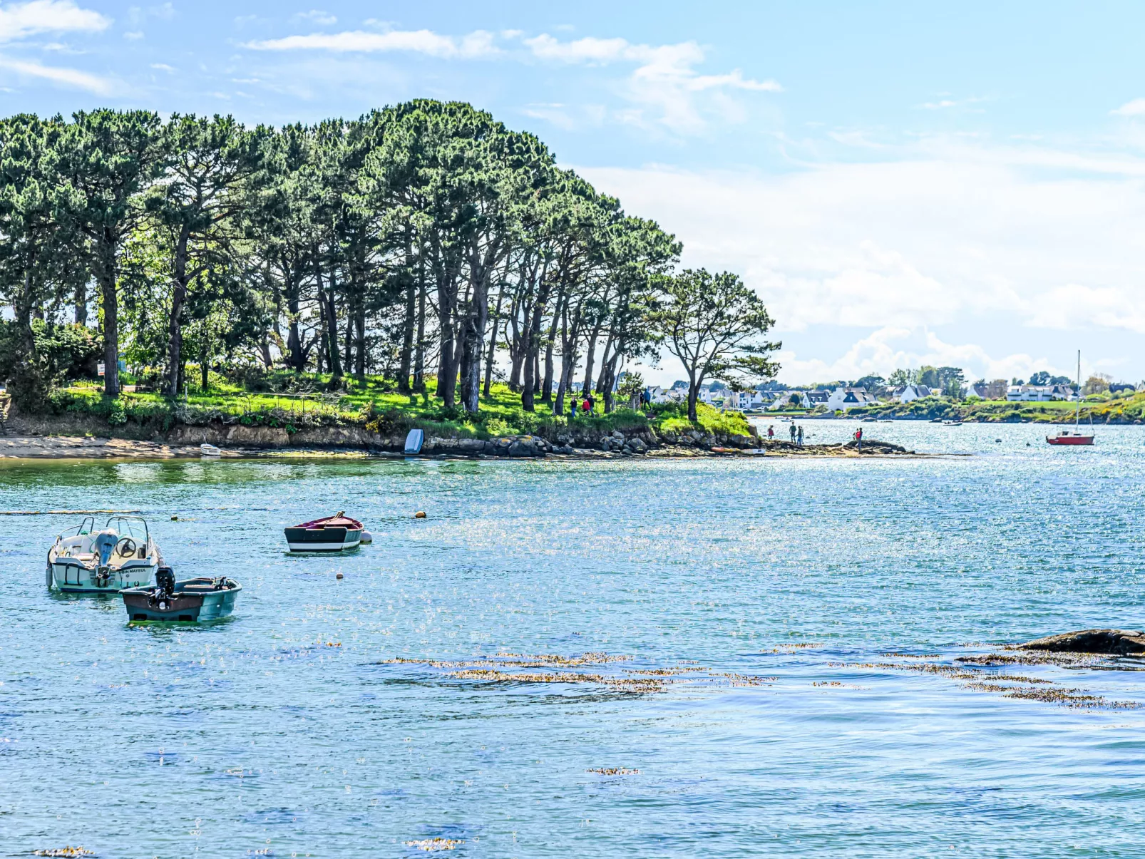  Maison Park Bihan - Omgeving