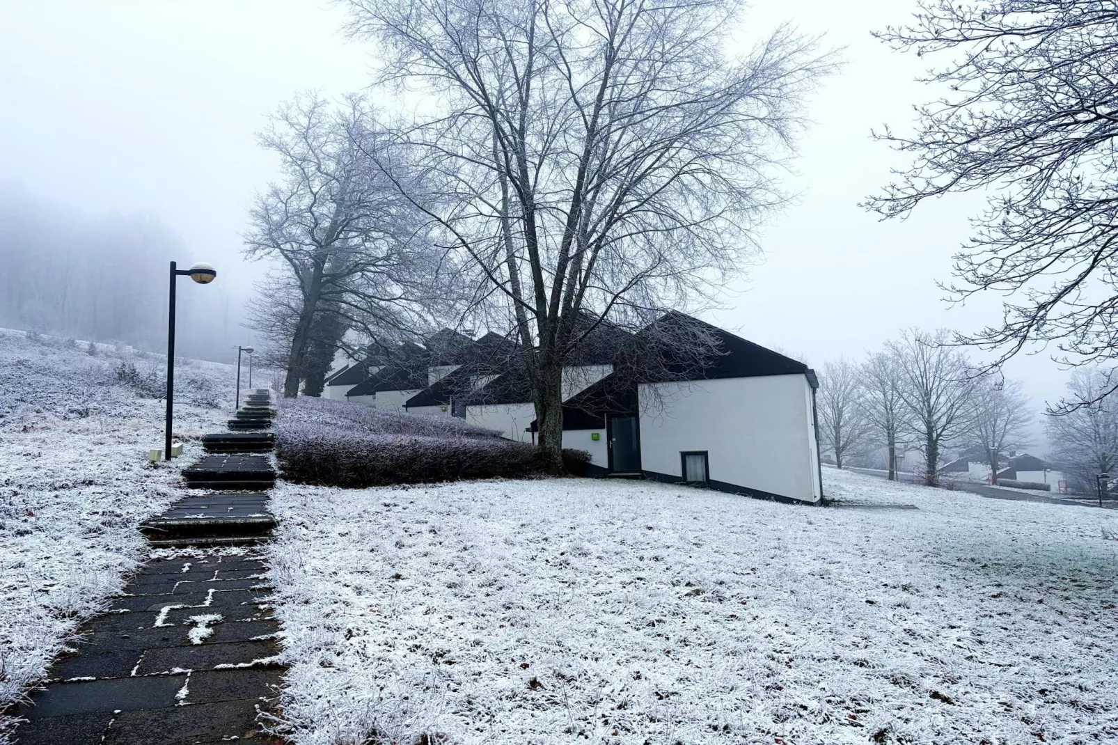 6P Comfort 4 - Gebied winter 1km