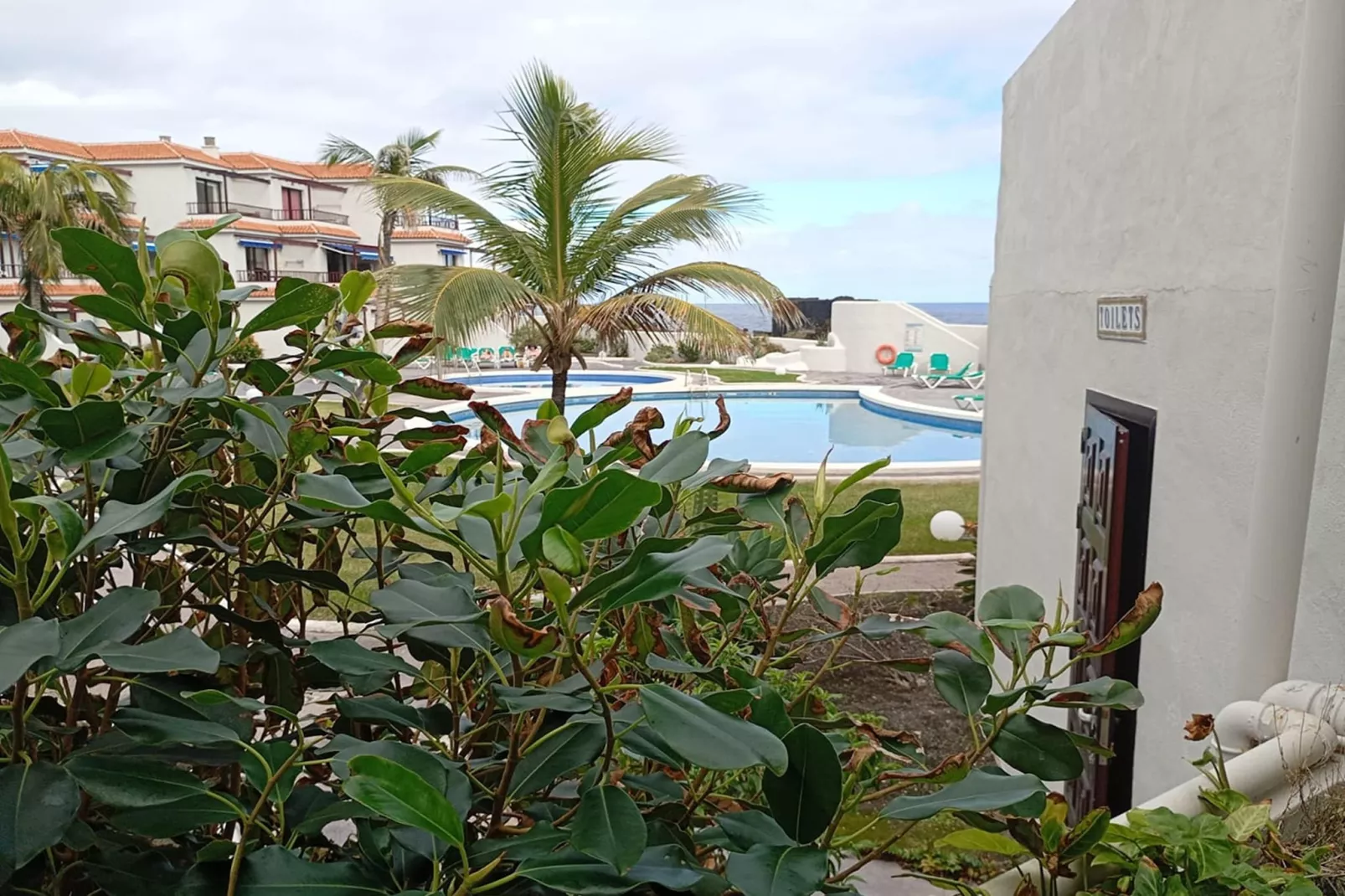 Playa Los Cancajos - Tuinen zomer