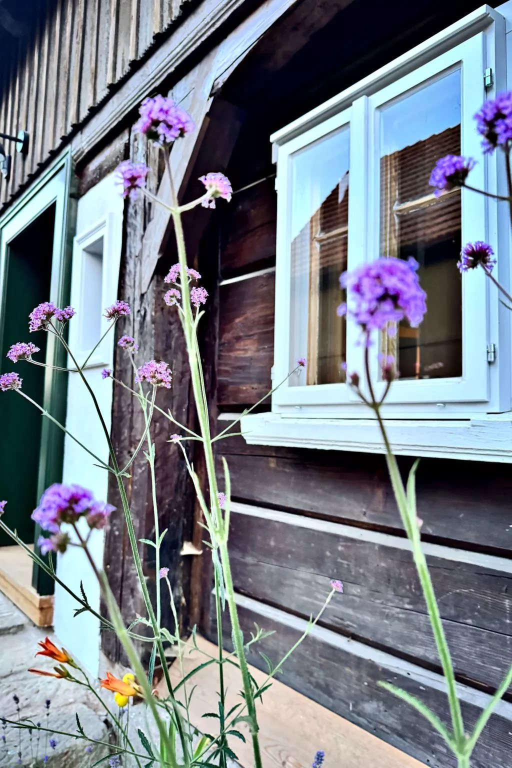 NEU!   dasErbhaus - Buiten