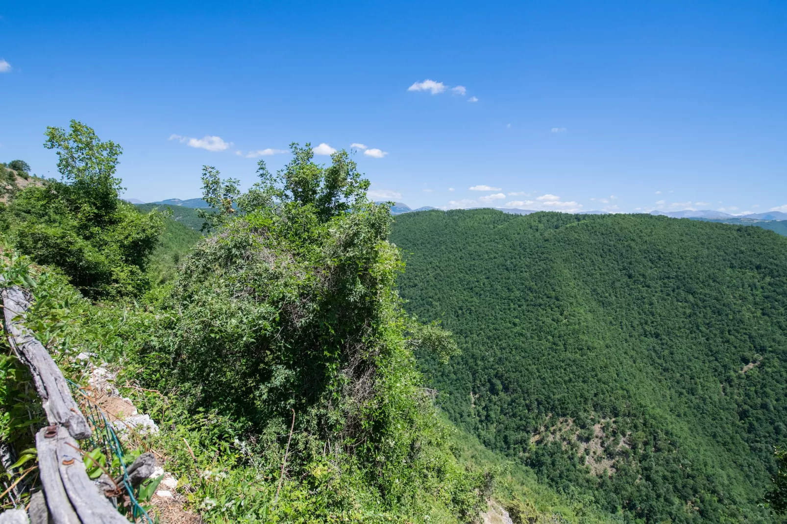 Fonni Verde Due - Gebieden zomer 1km
