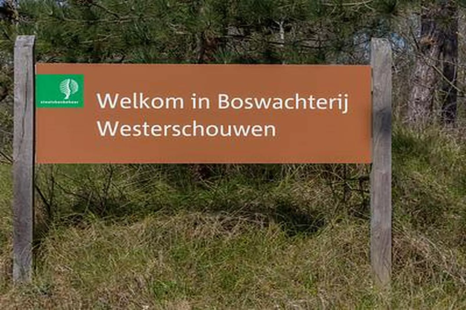 Duinhoeve Chalet Zeeland (huisdier toegestaan) - Sfeer