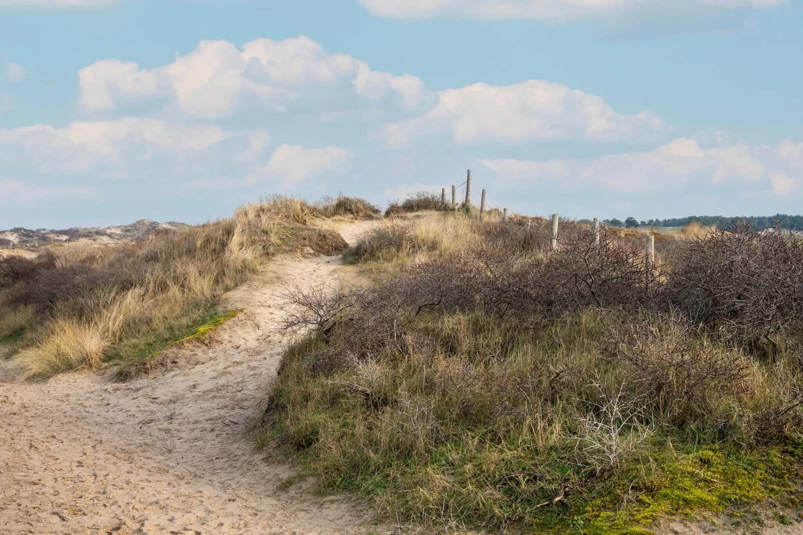De Zilvermeeuw - Gebieden zomer 5km
