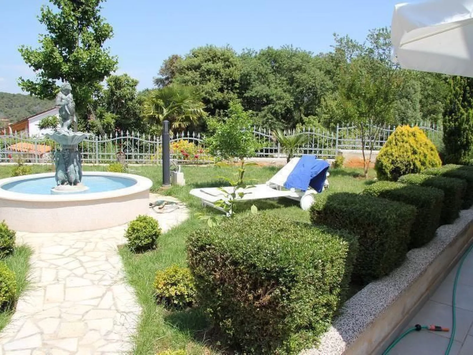 Ginkgo 3 - Image-tags.info