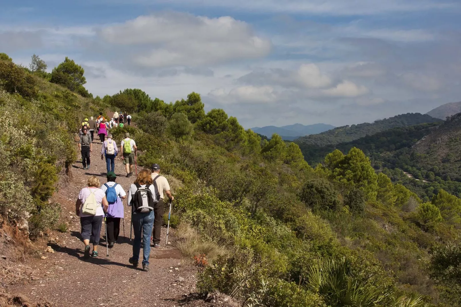 AL-1321 ESTEPONA - PENTHOUSE - ALCAZABA LAGOON - Gebieden zomer 5km
