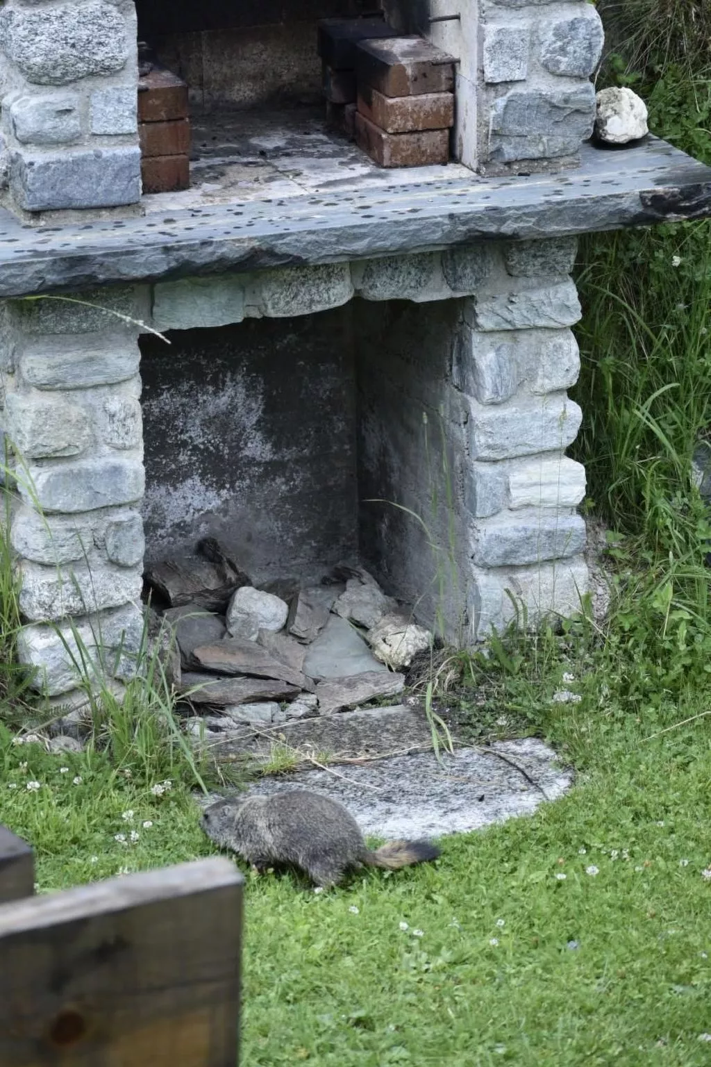 Chalet Le Murmure du Torrent - Buiten