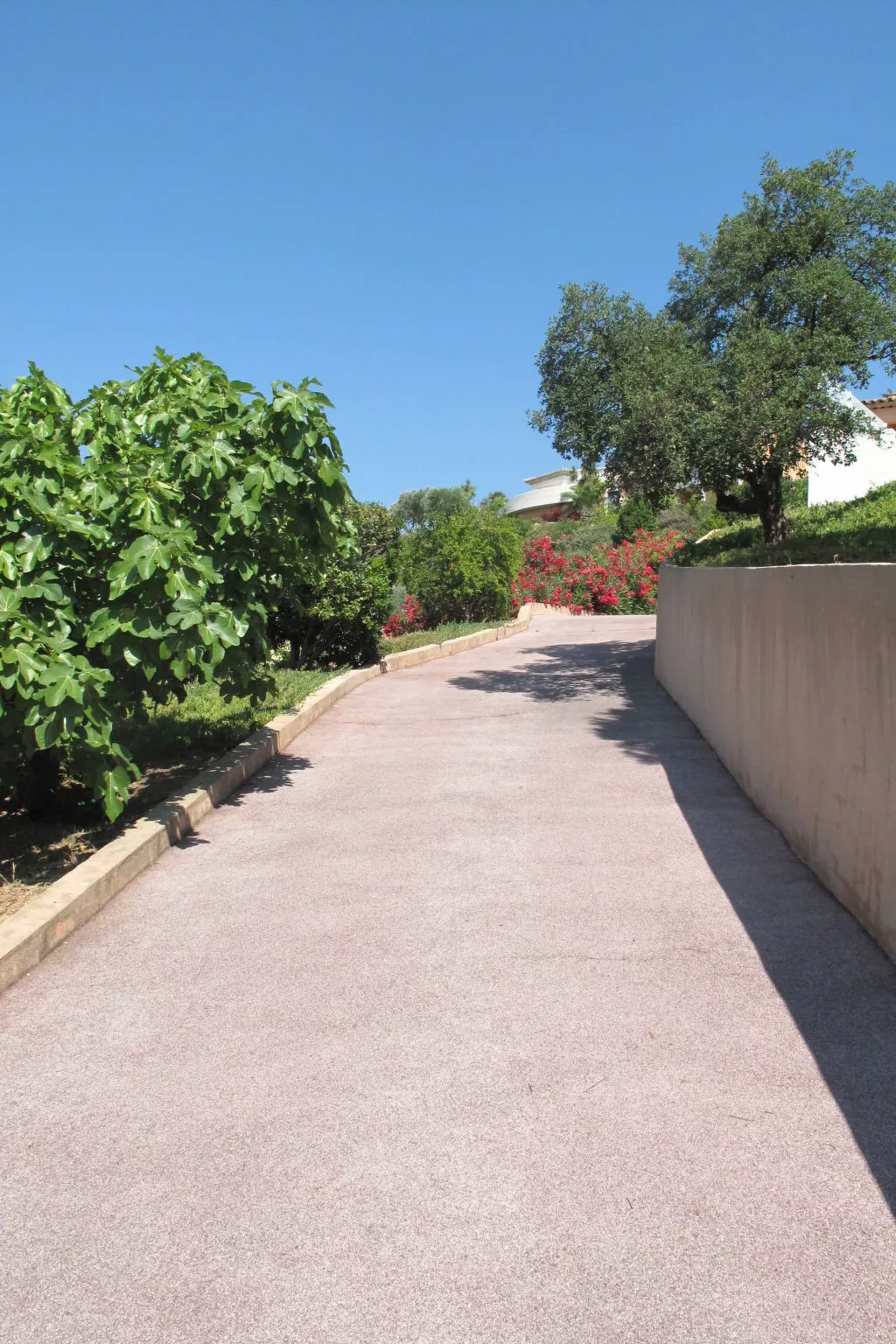 La Figuière - Buiten