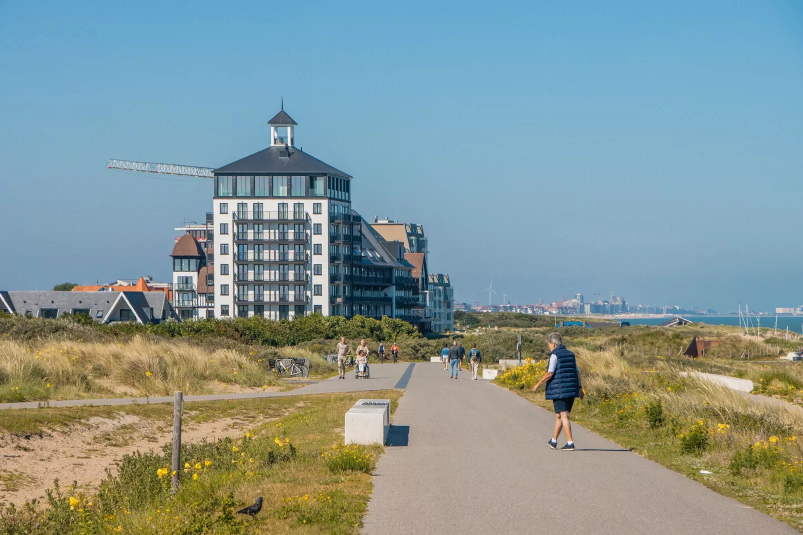 Resort Cadzand 1-Gebieden zomer 1km