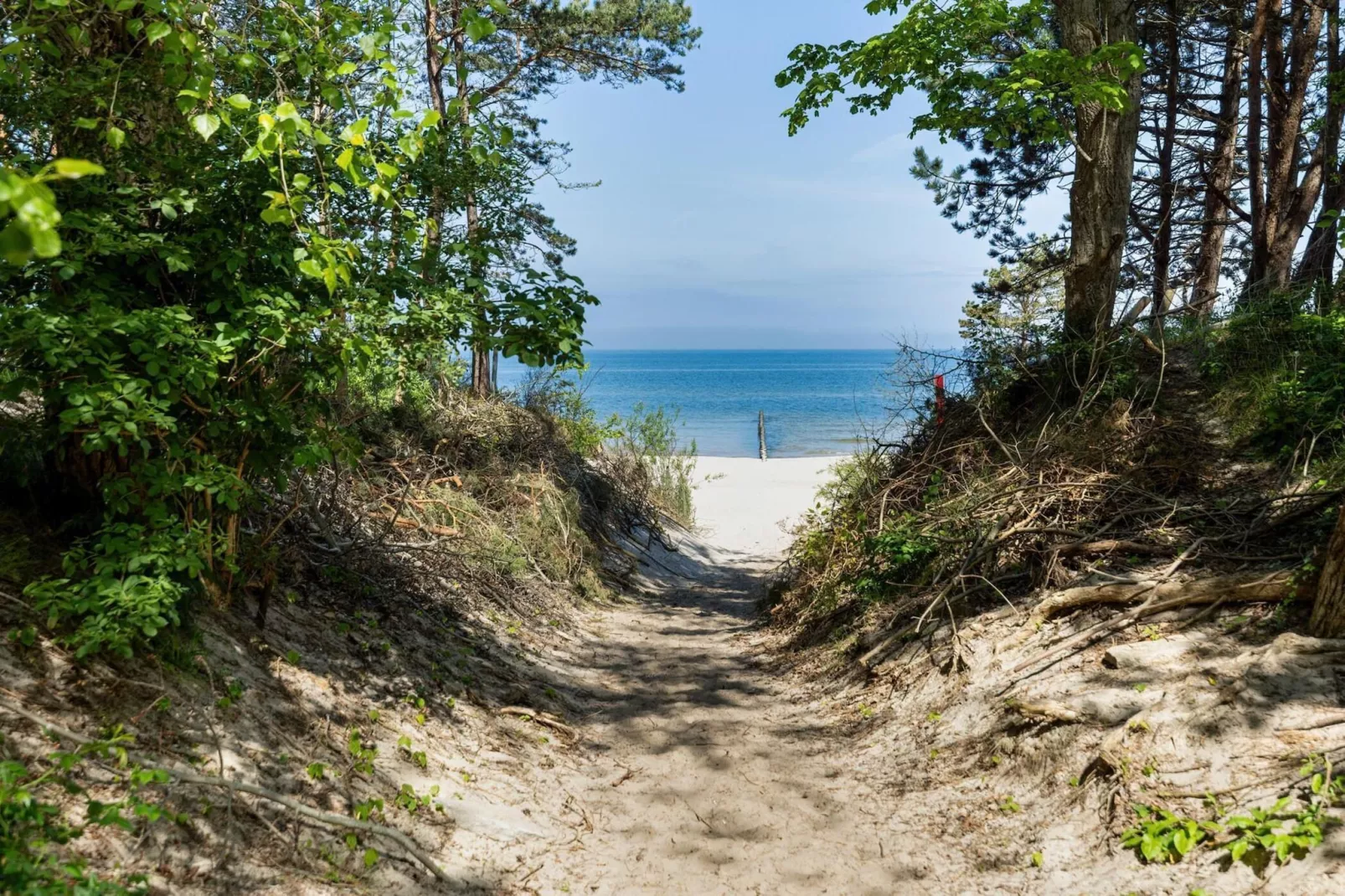 Apartament PINEA Grunwaldzka 82A-613 - Gebieden zomer 5km