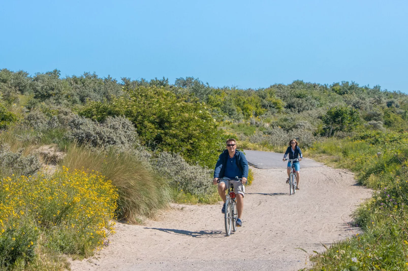 Resort Cadzand 4-Gebieden zomer 1km