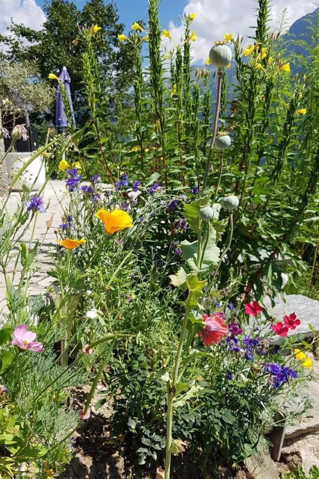 Alpe Monte Massella - Buiten