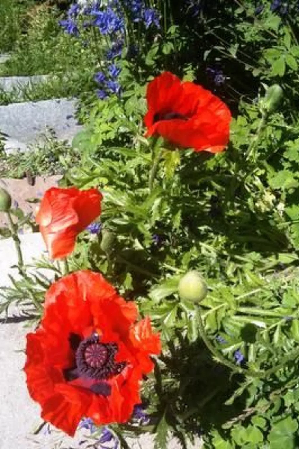 Alpe Monte Massella - Buiten