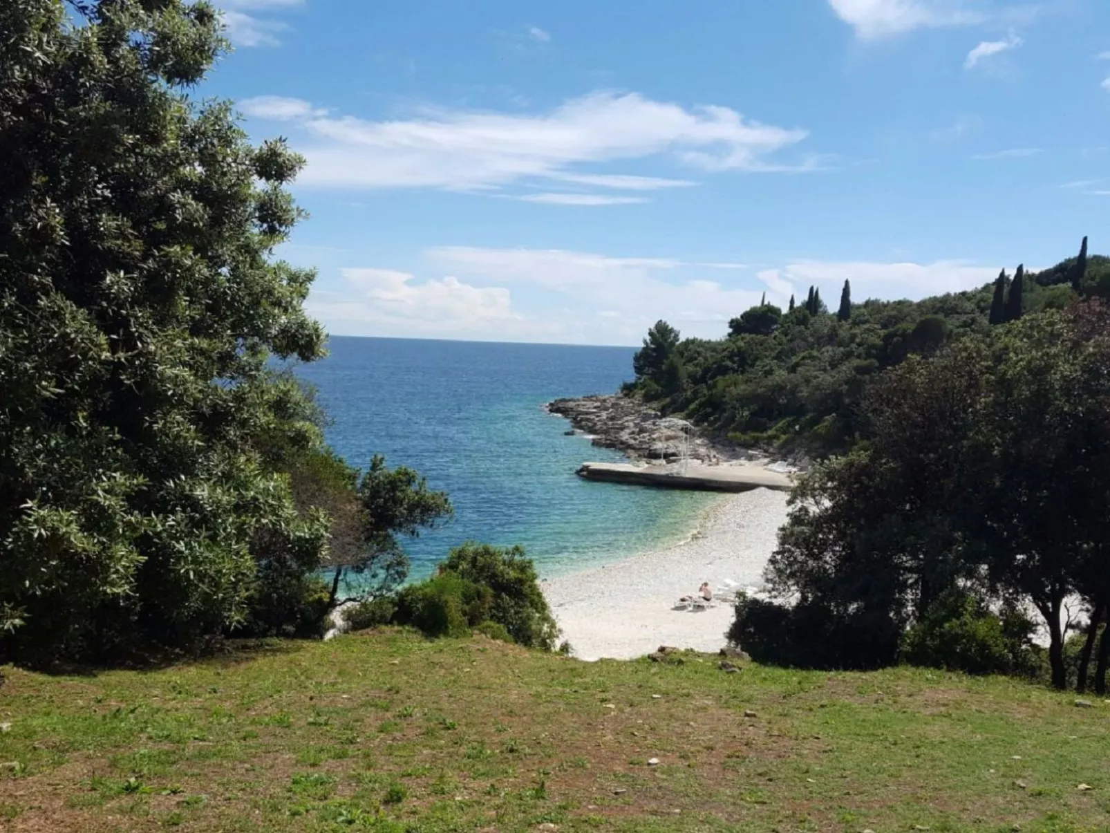 Ginkgo 3 - Image-tags.info