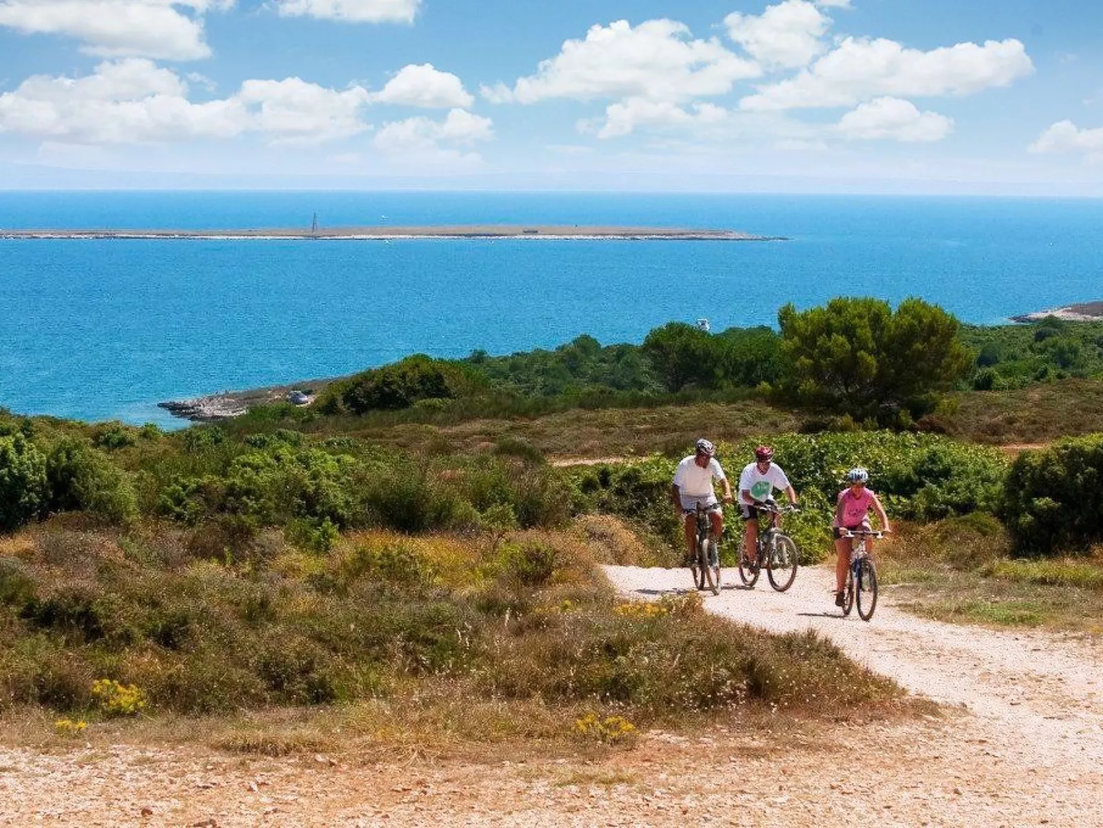 Ginkgo 1 - Image-tags.info