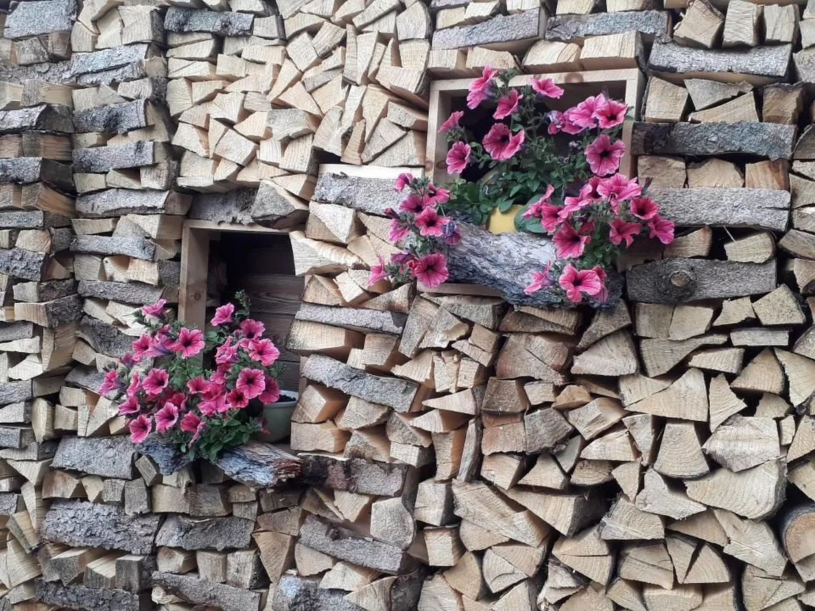 Alpe Monte Massella - Buiten