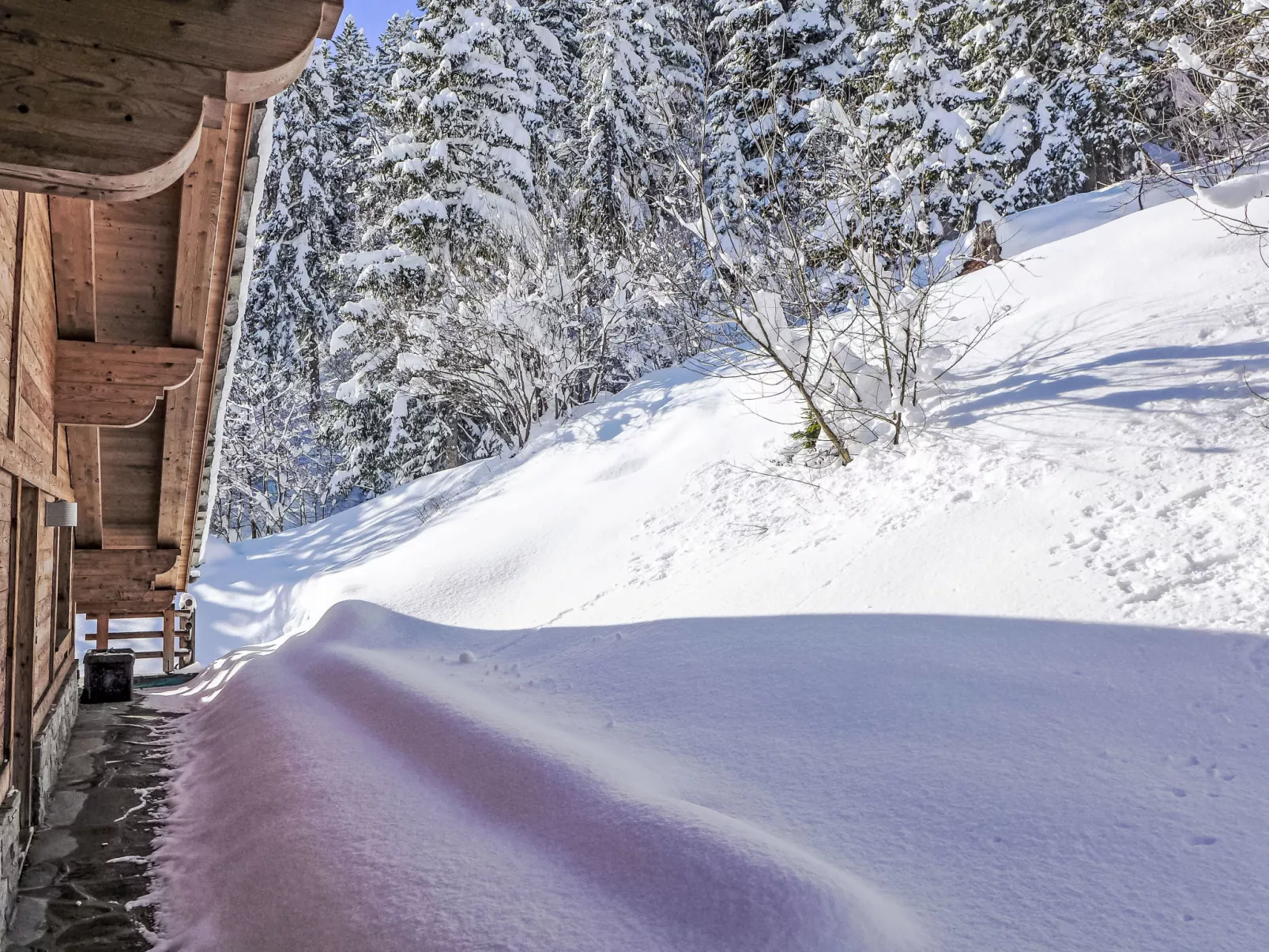 Chalet Astoria 6 - Buiten