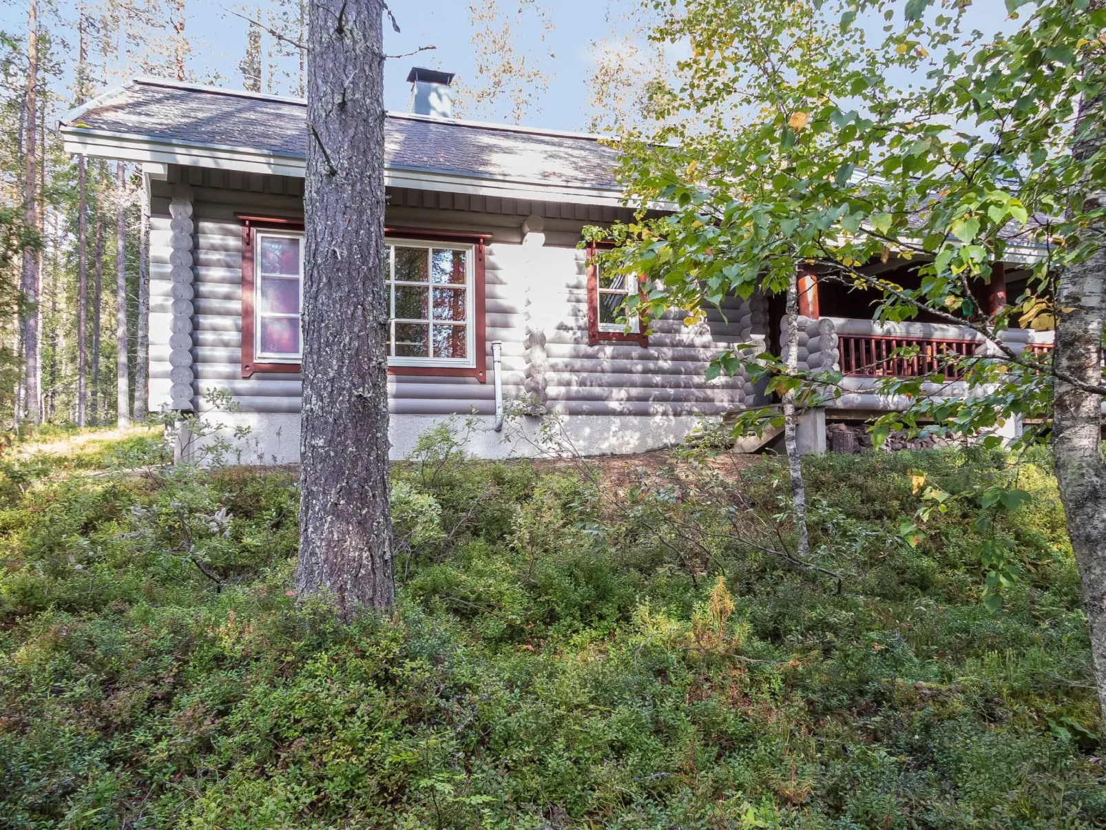 Ylläksen tunturihonkamaja a 1 - Binnen