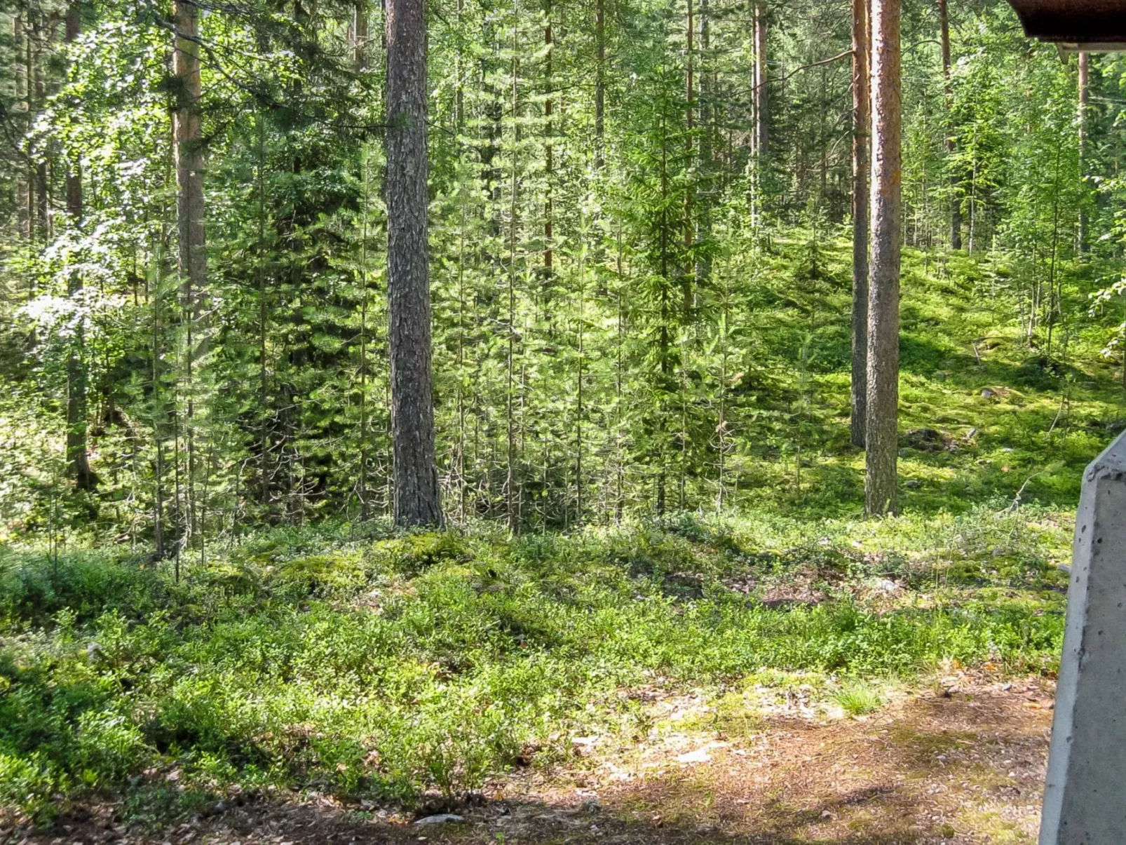 Honkakoli 9/1 - Binnen