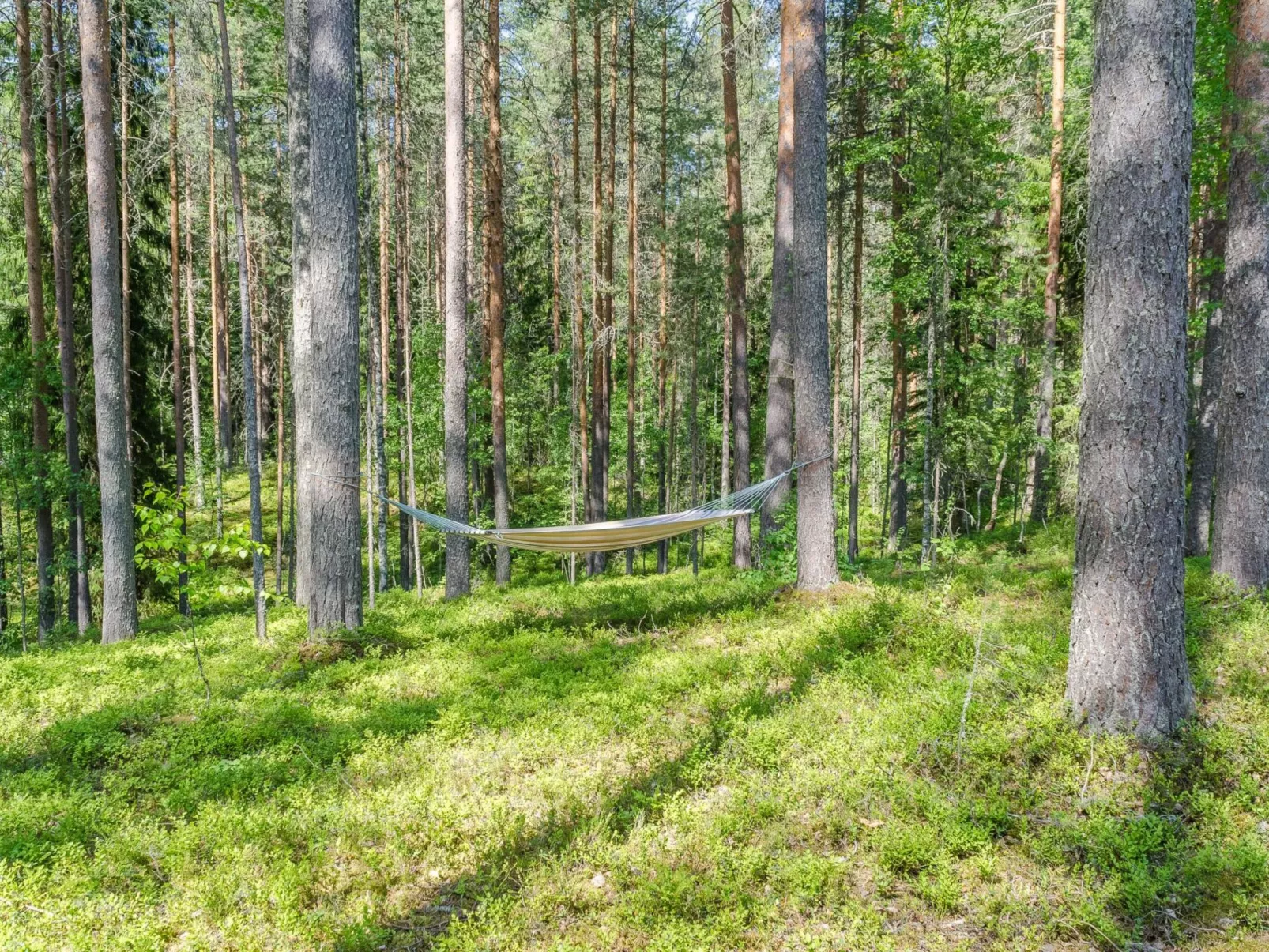 Pyöröpirtti - Binnen