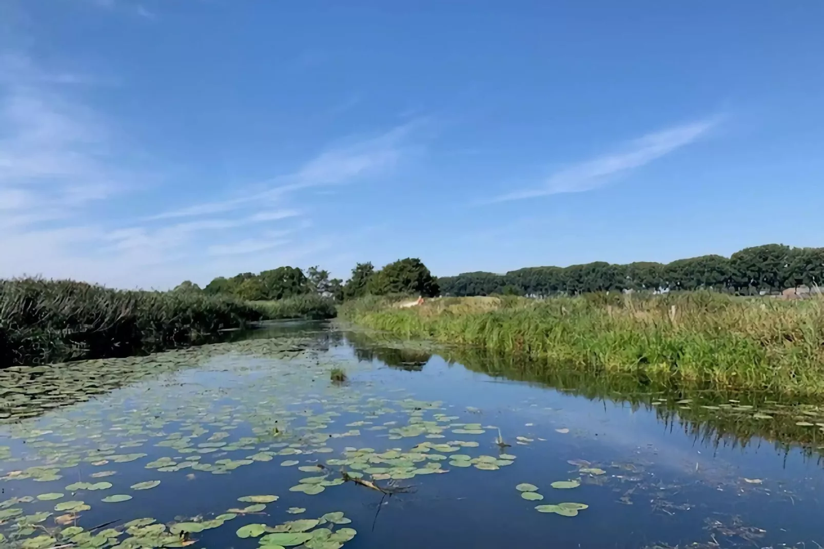 De Parelduiker Huis Nr 19-Gebieden zomer 5km