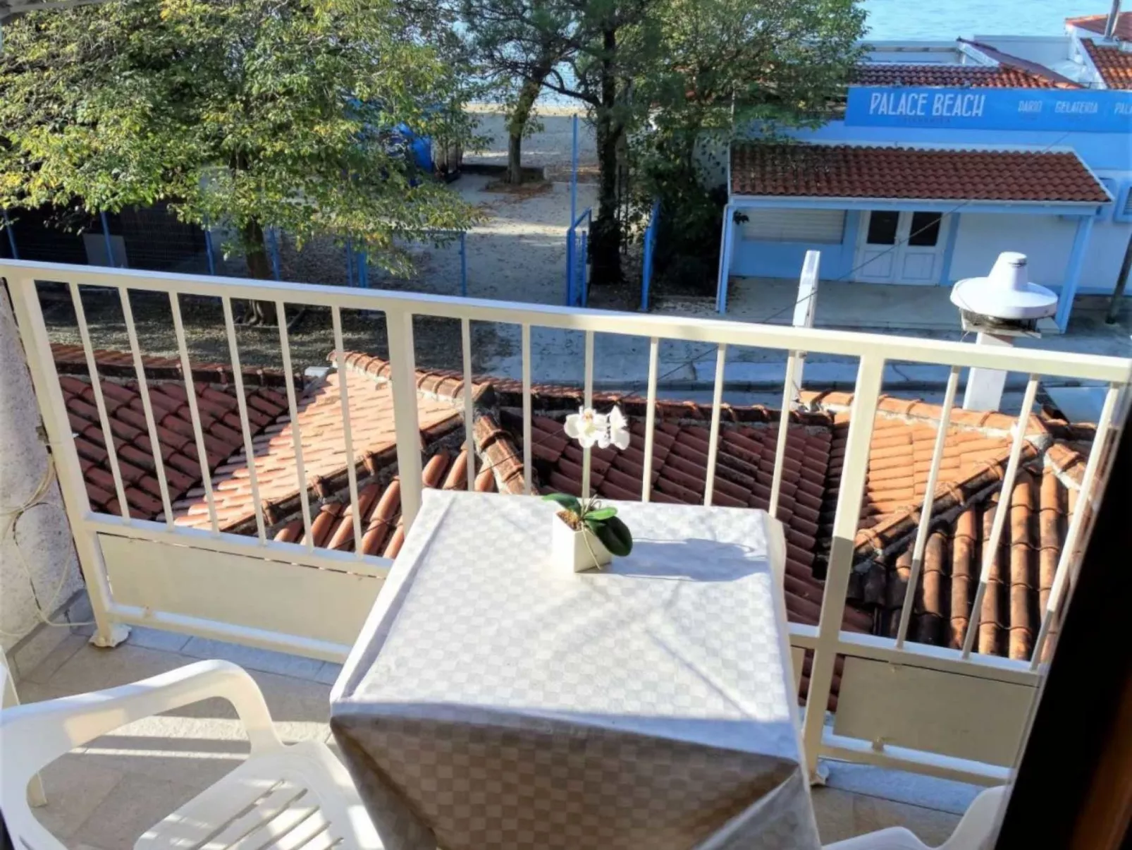 Roni veliki / HR-10528-01