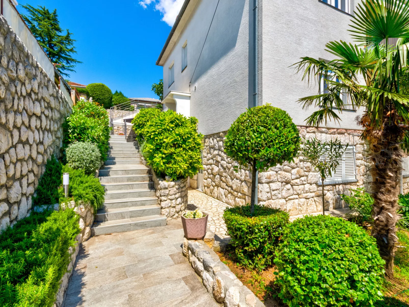 MLADEN 3 / HR-07977-03