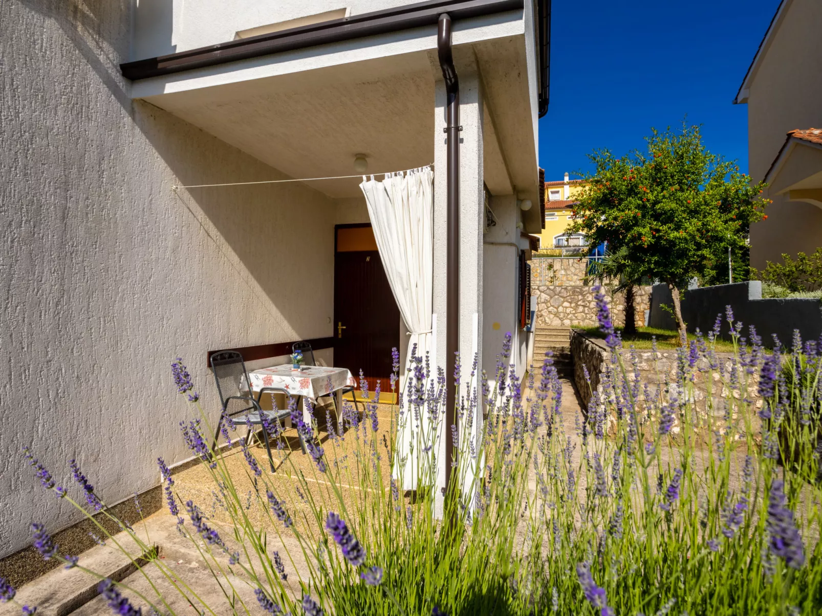 Apartment Belavic - 2