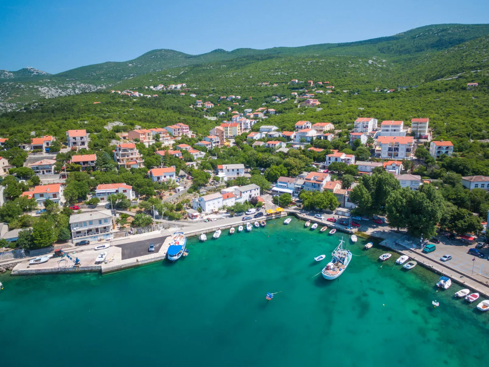 Cosic Green / HR-09706-01