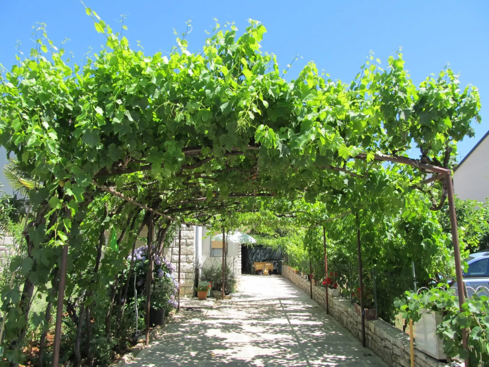 Vintage Guest Room Liva / HR-11059-06