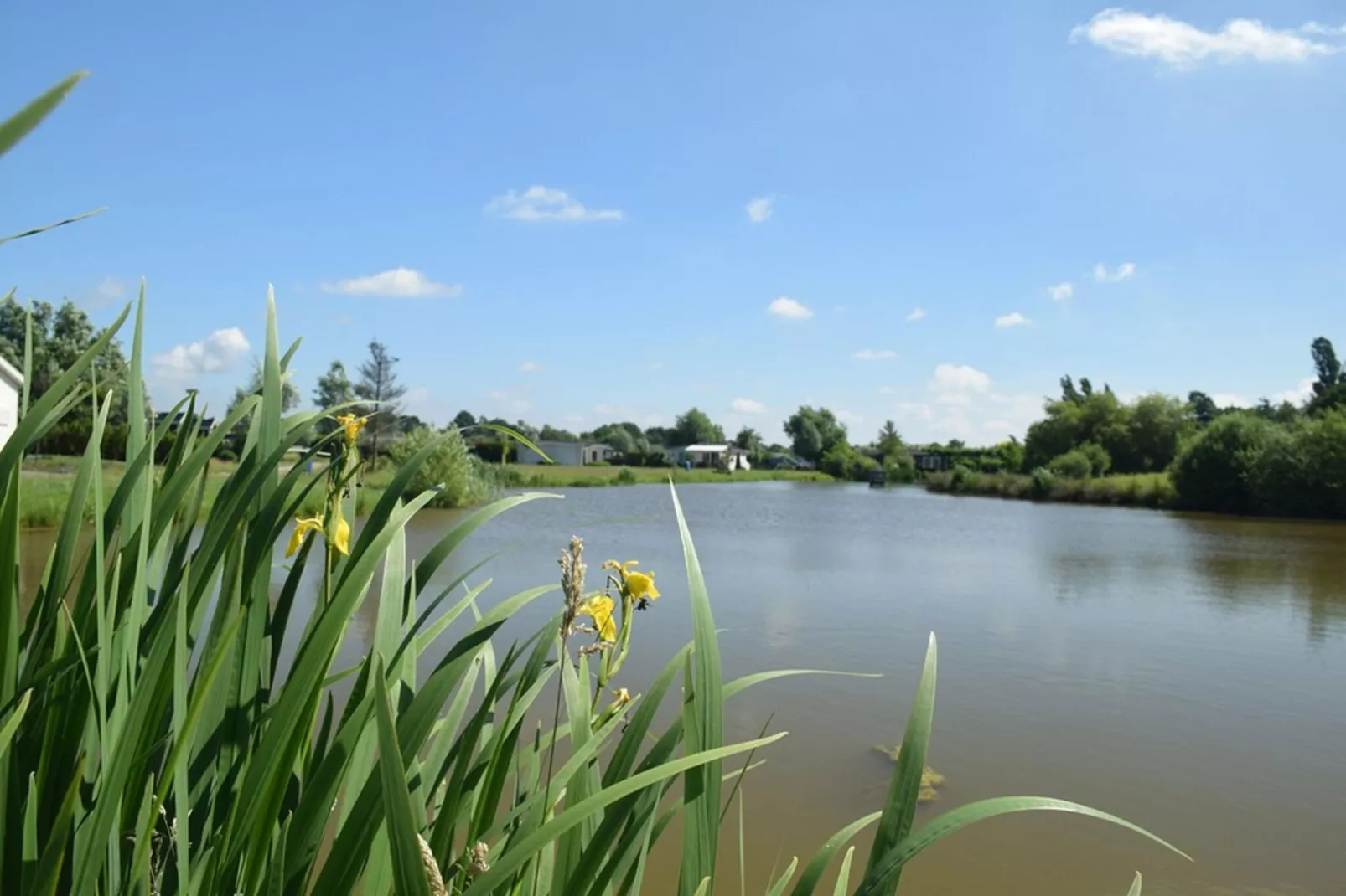 Brabants Weelde-Gebieden zomer 1km