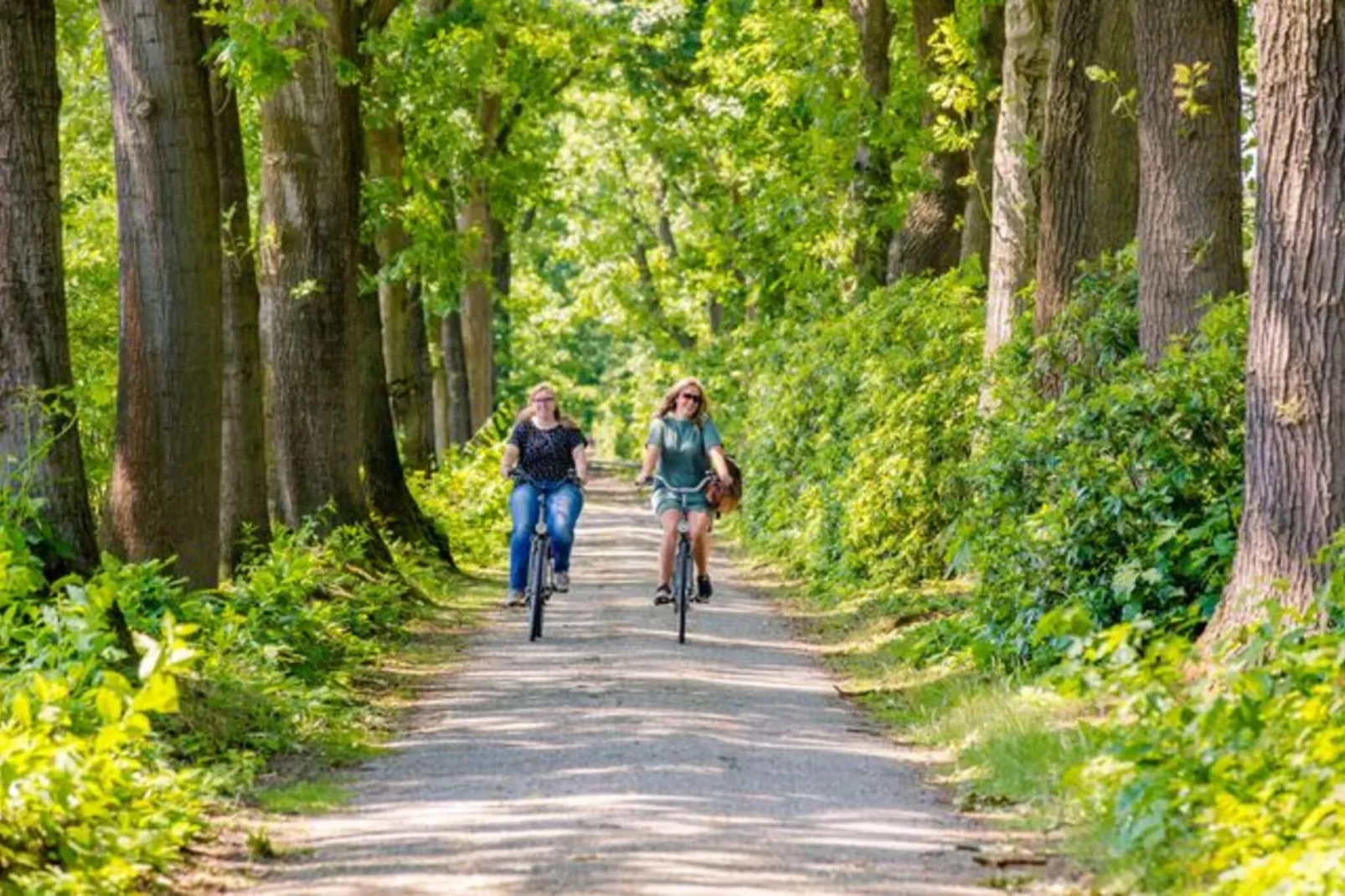 Brabants Weelde-Gebieden zomer 5km