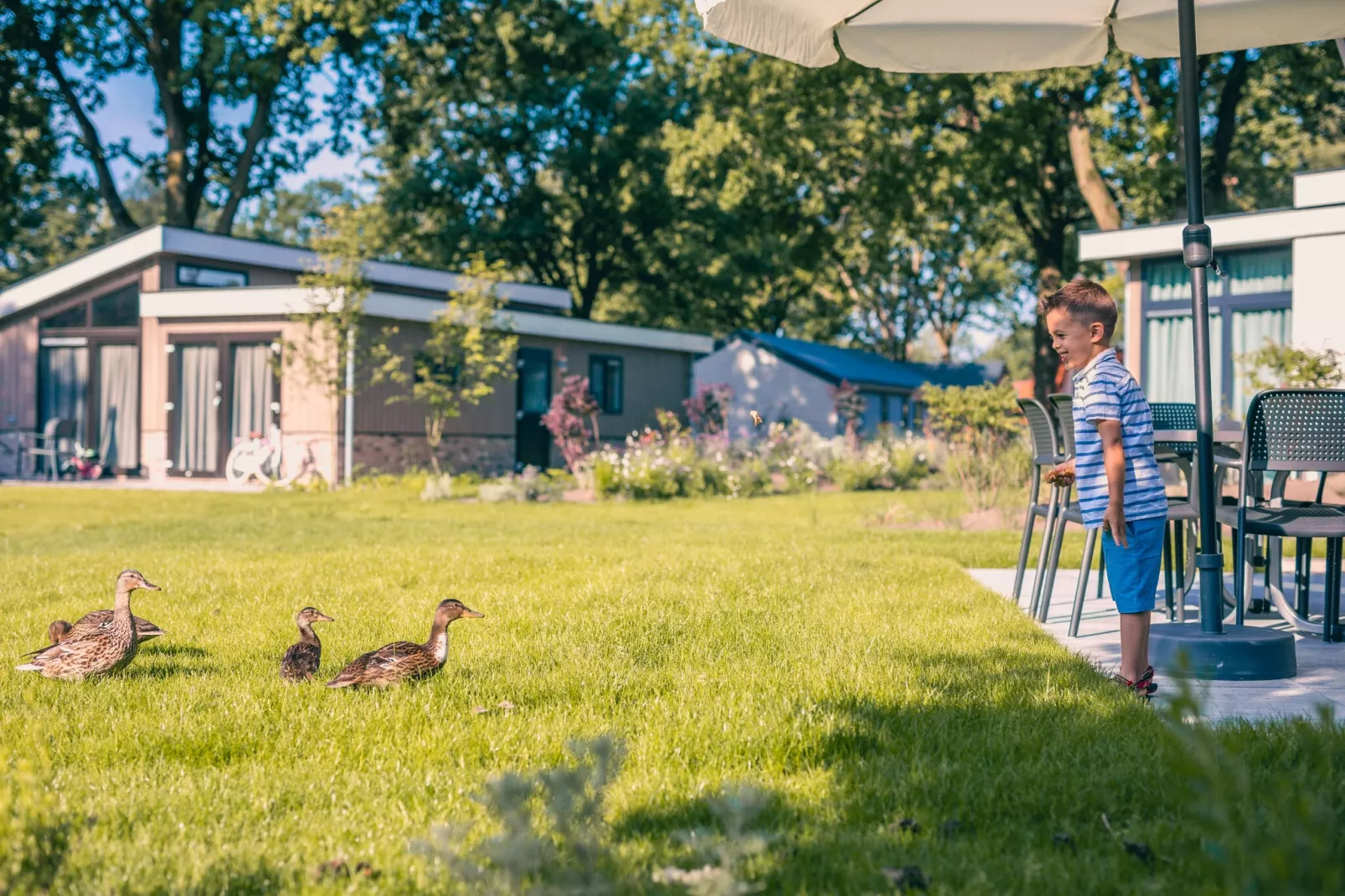 Resort Kaatsheuvel 11-Gebieden zomer 1km