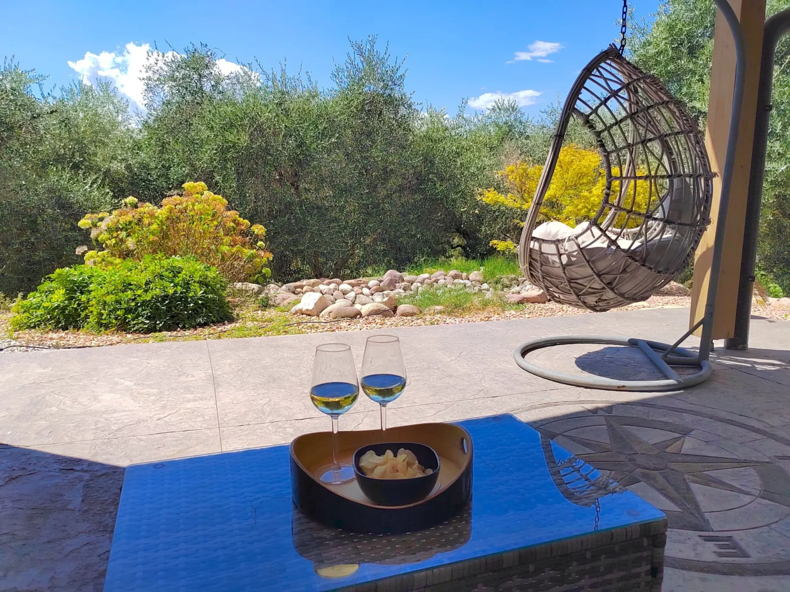 In einem spektakulären Olivenhain in einer ruhig