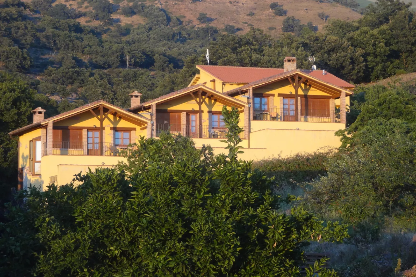 Casas Rurales Acebuche Casereña