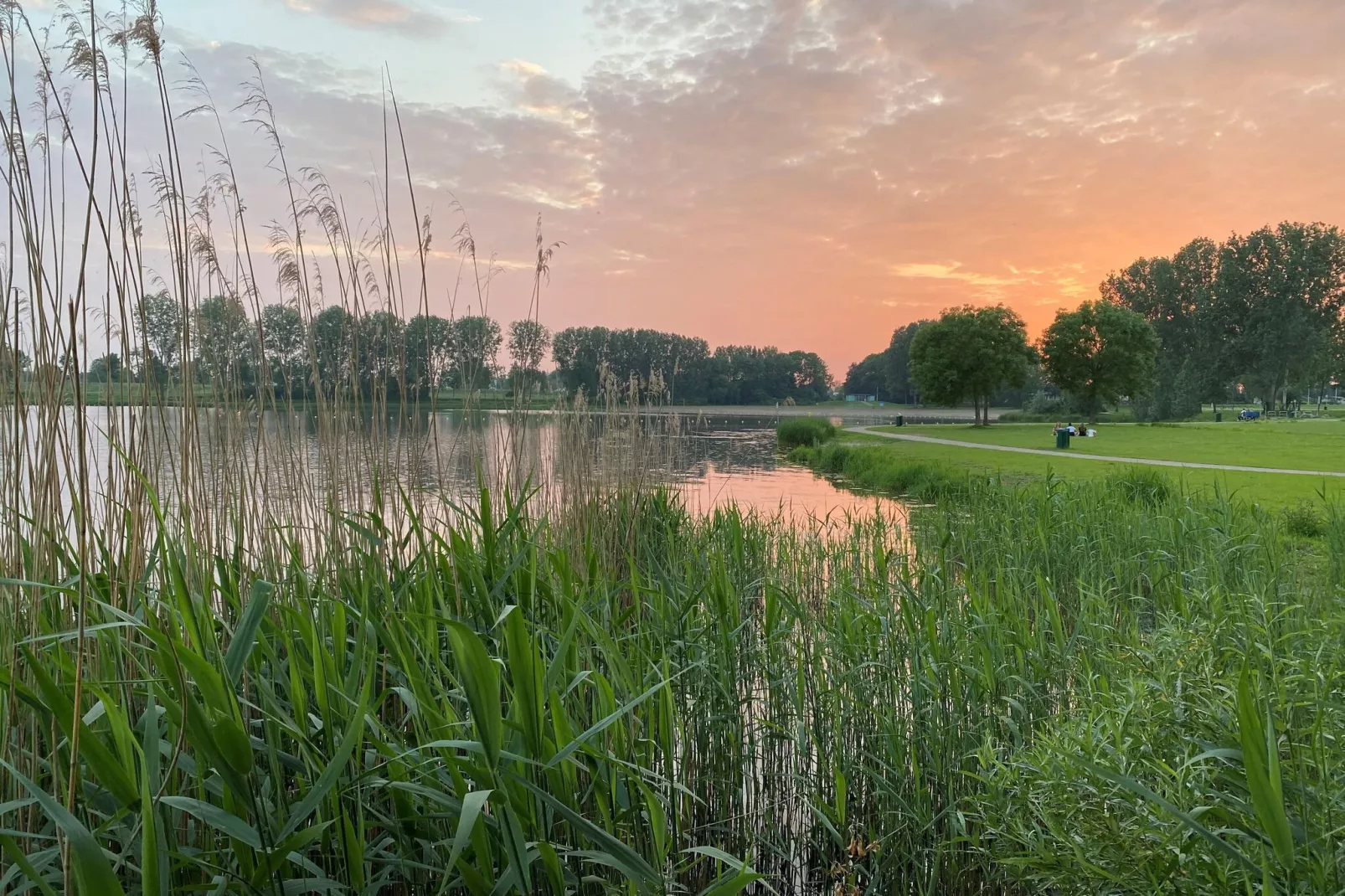 Combi Rossum 8G & 8H-Gebieden zomer 1km