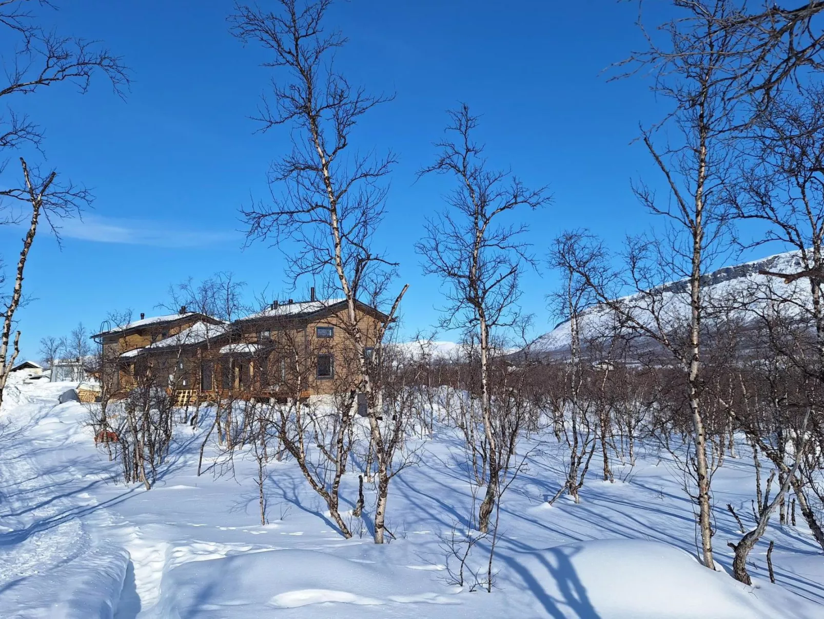 Saana aurora - Binnen