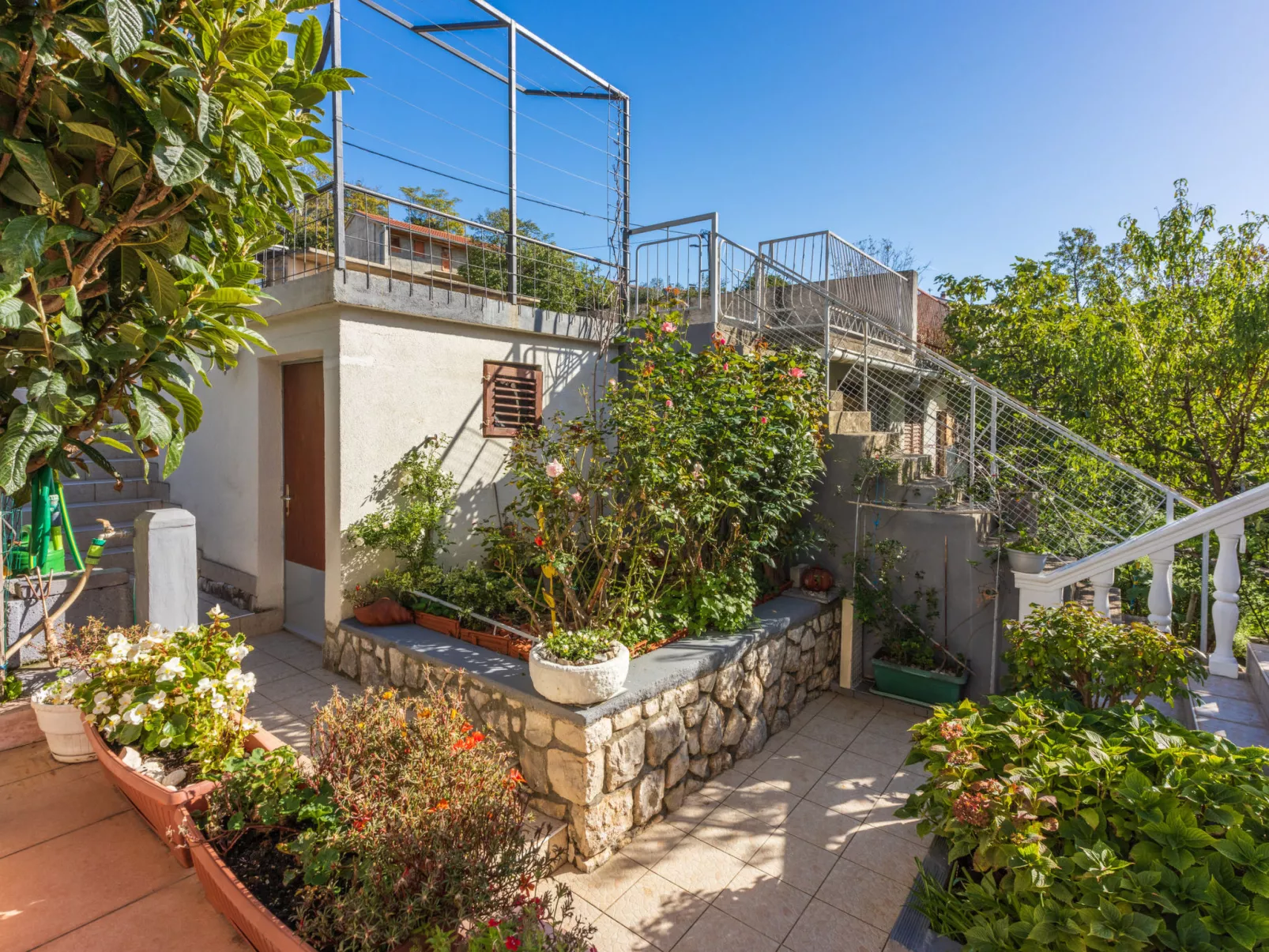 PCELICA MAJA / HR-09980-01