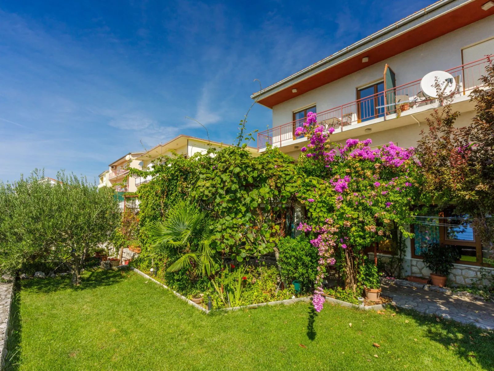 BUBA Sanja / HR-08082-02