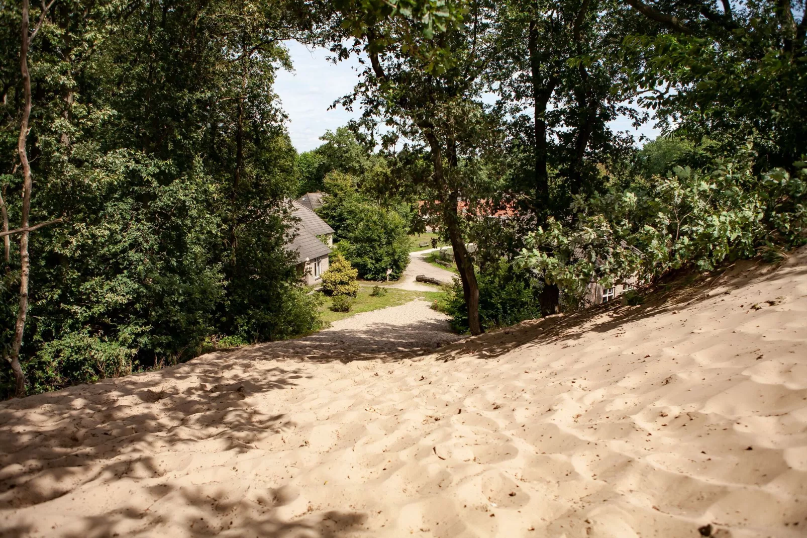 Vakantiepark Sandberghe 12-Gebieden zomer 1km