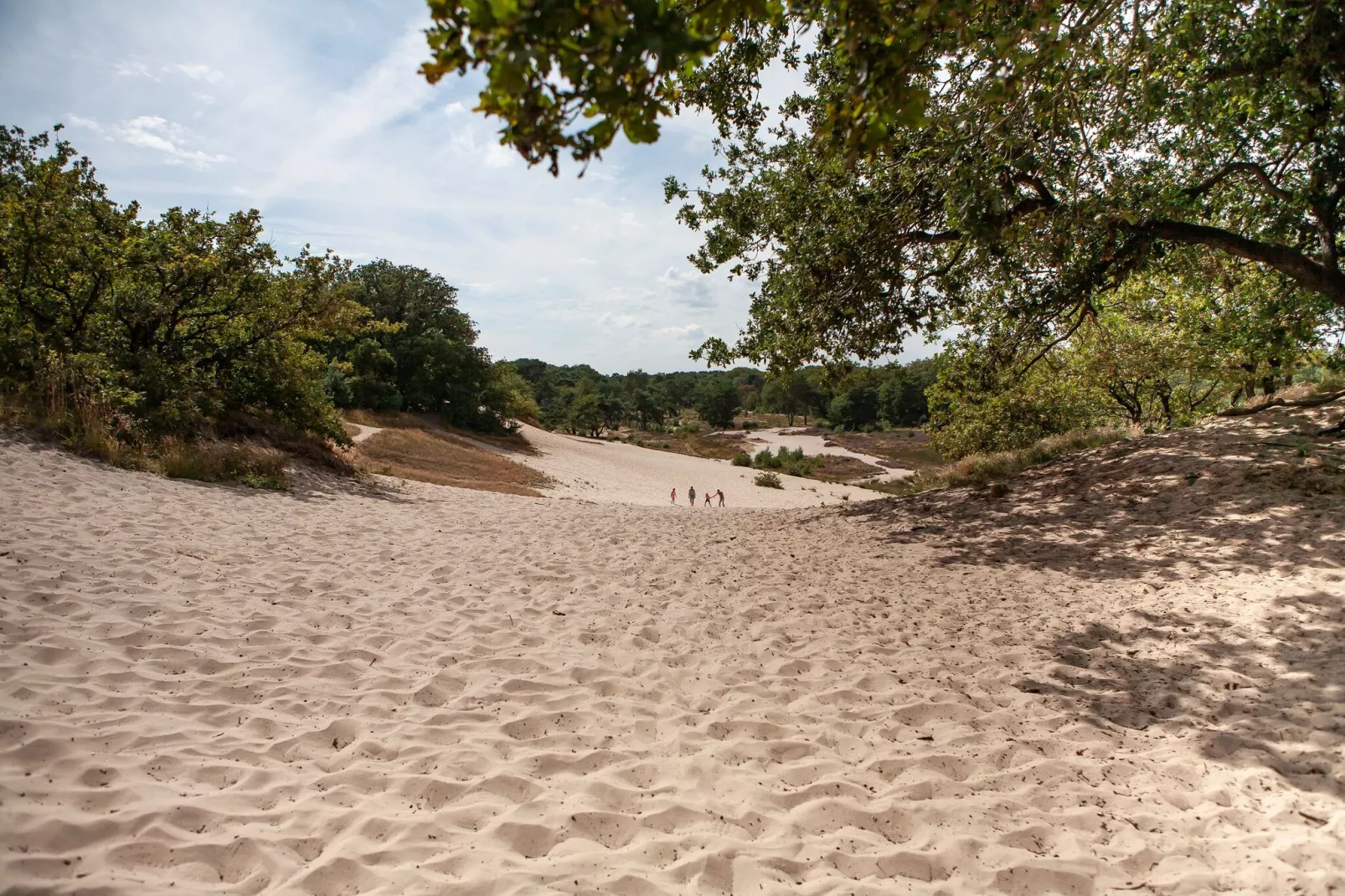 Vakantiepark Sandberghe 12-Gebieden zomer 1km