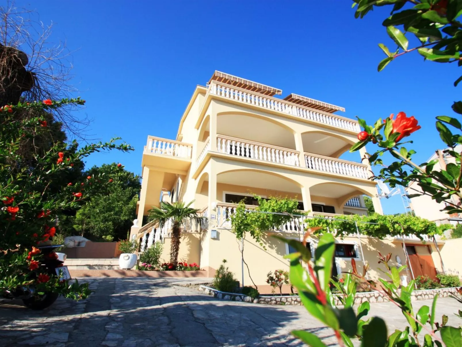 PAVICA 5 / HR-02417-05