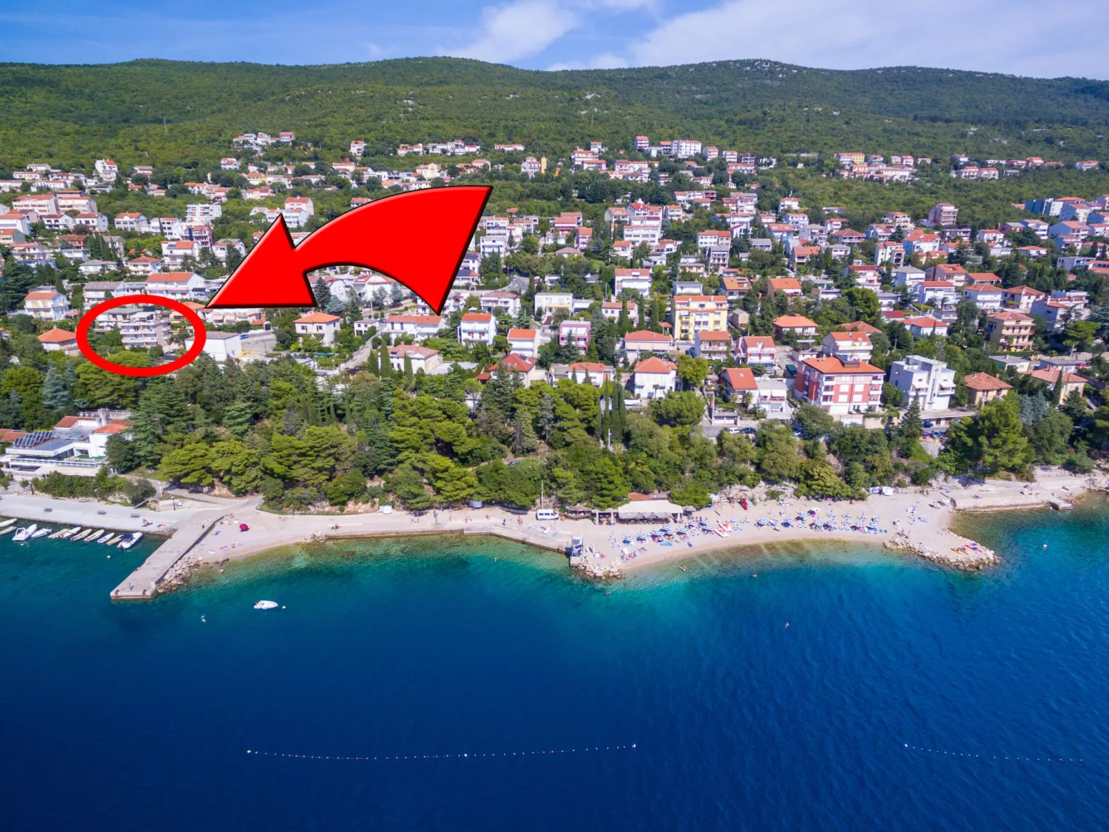 DOMINO Orange (8) / HR-09132-04