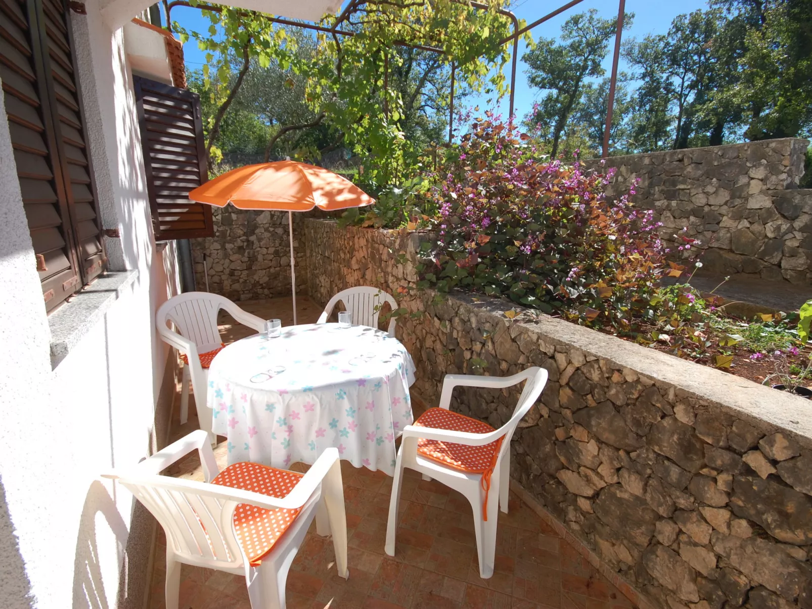 Apartment Dajdzic - 1