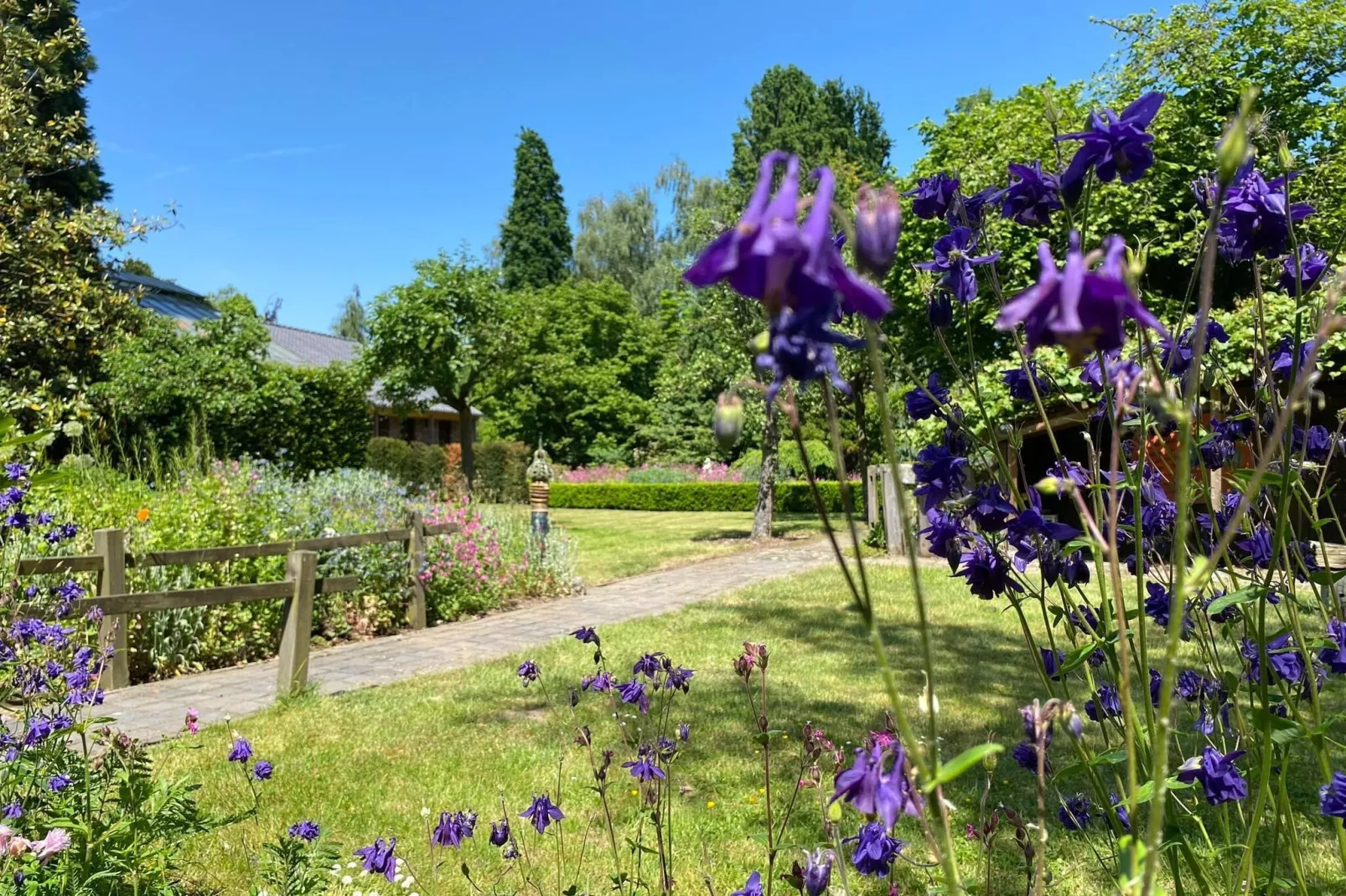 Dorpswoning Het Tolhuis-Tuinen zomer