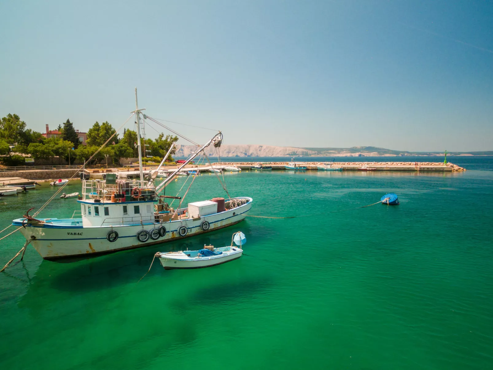 Cosic 2 Black & White / HR-09707-02