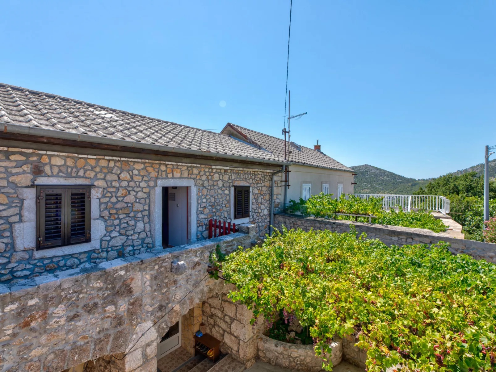 Mislav / HR-10644-01