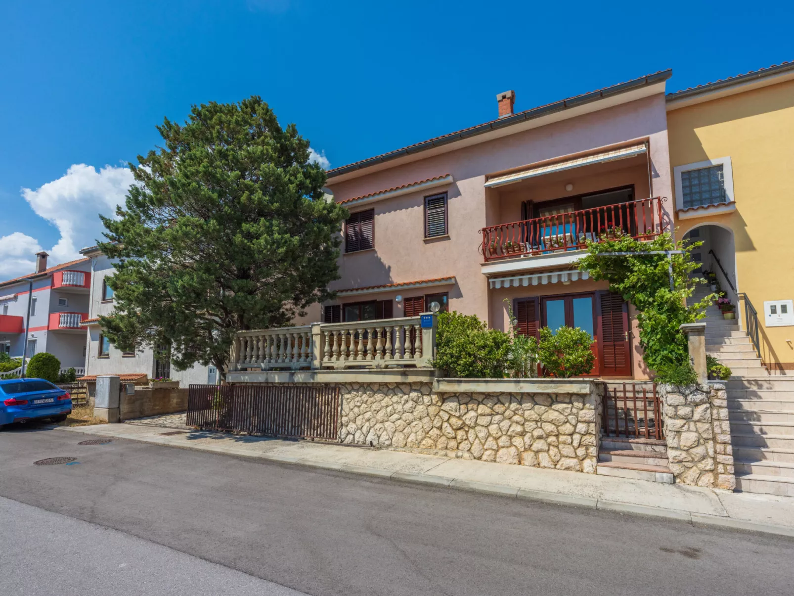 Agava mali / HR-11139-01