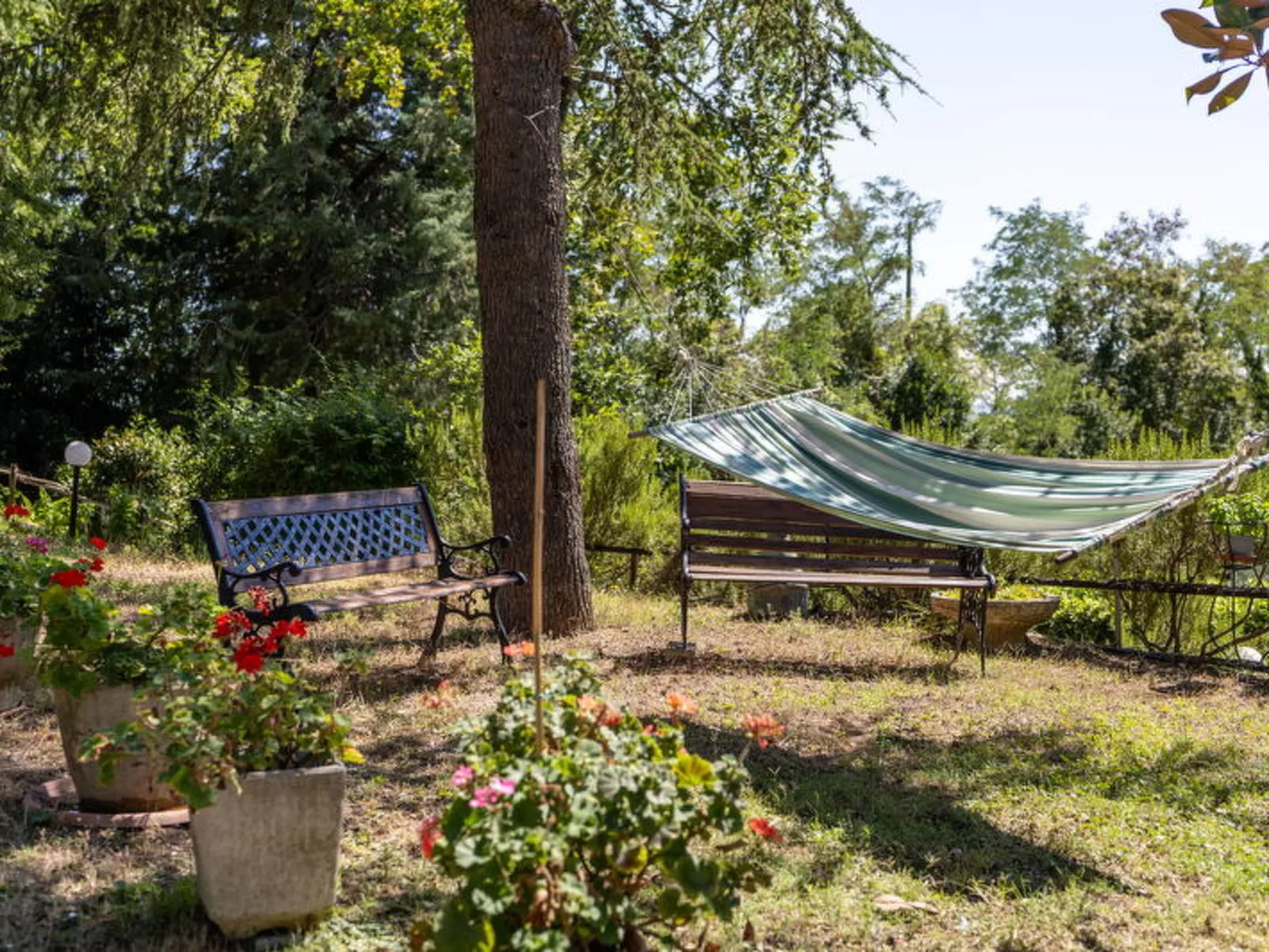 La Pineta Holiday Homes