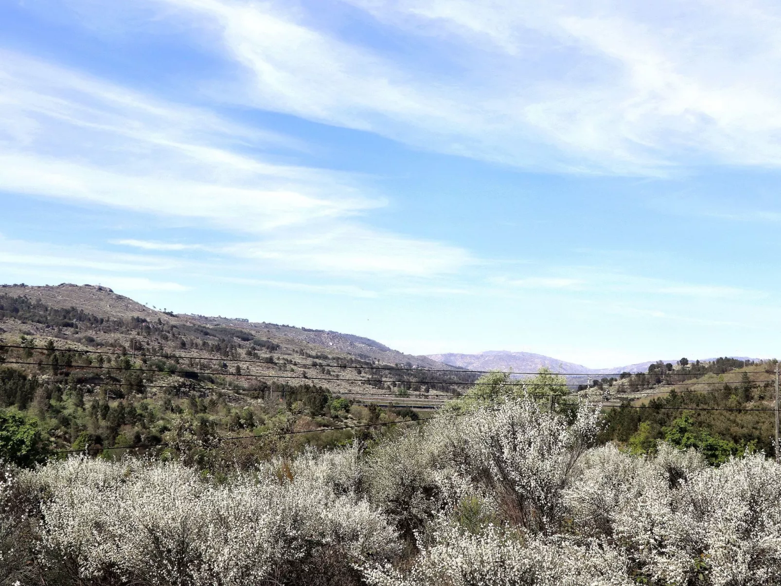 Haus in Vila Soeiro Do Chão mit privatem Parkplatz