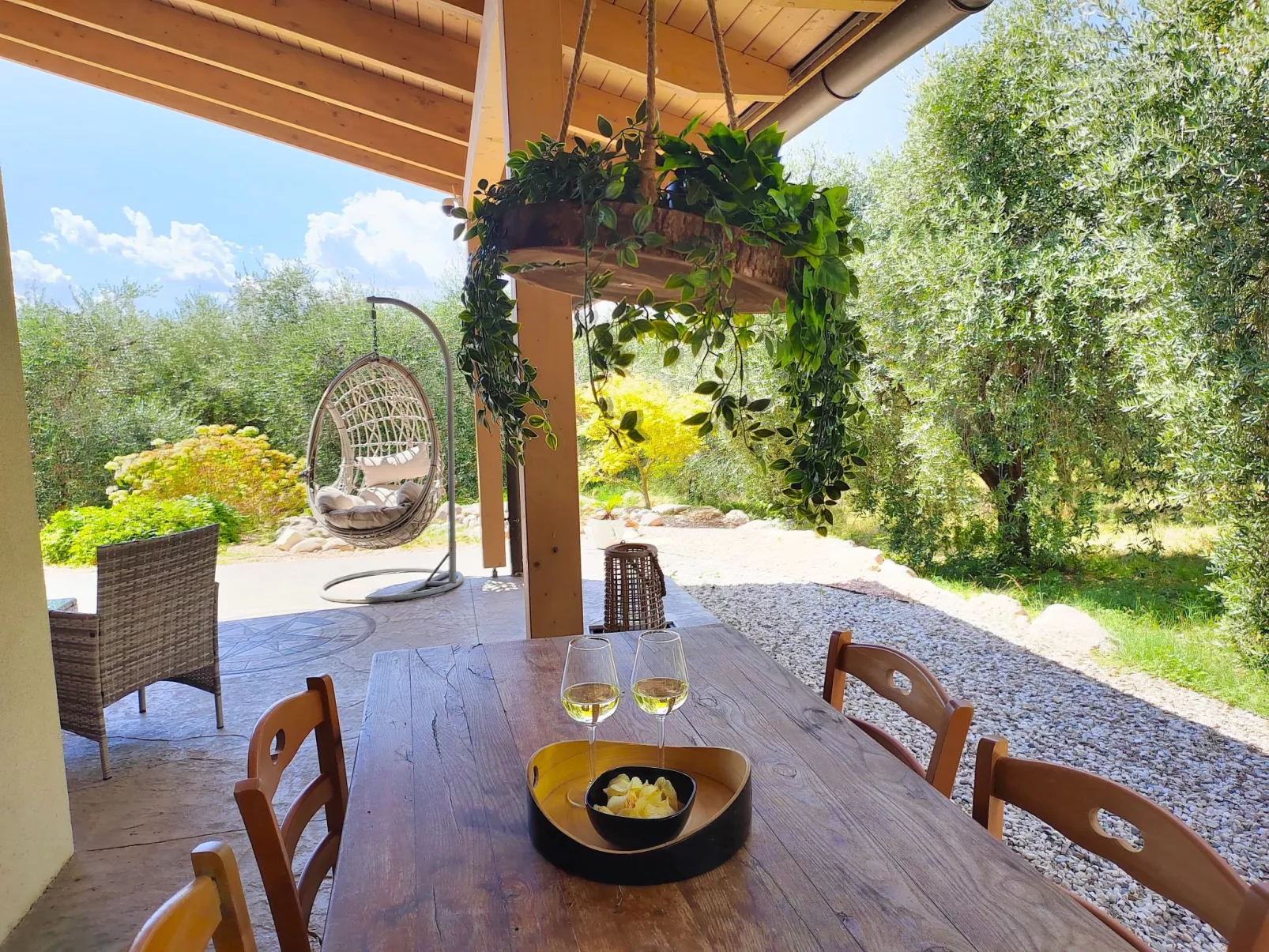 In einem spektakulären Olivenhain in einer ruhig